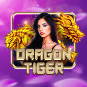 Dragon Tiger live dealer on FBM Gaming